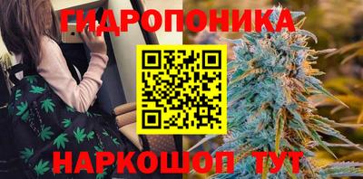 шишки Камышлов