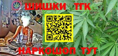 шишки Камышлов