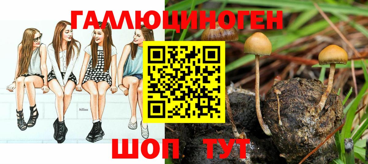 Псилоцибиновые грибы MAGIC MUSHROOMS  продажа наркотиков  Дивногорск  Вход с VPN  Псилоцибиновые грибы Psilocybe 